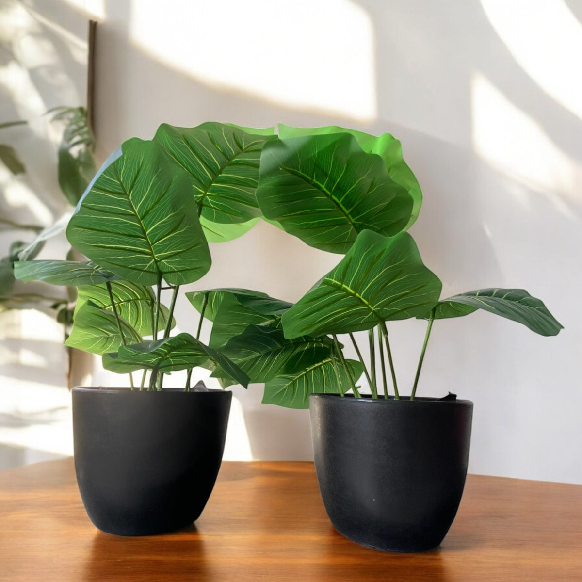 Artificial Monstera Plant in Elegant Black Plastic Pot by Pots O Crops