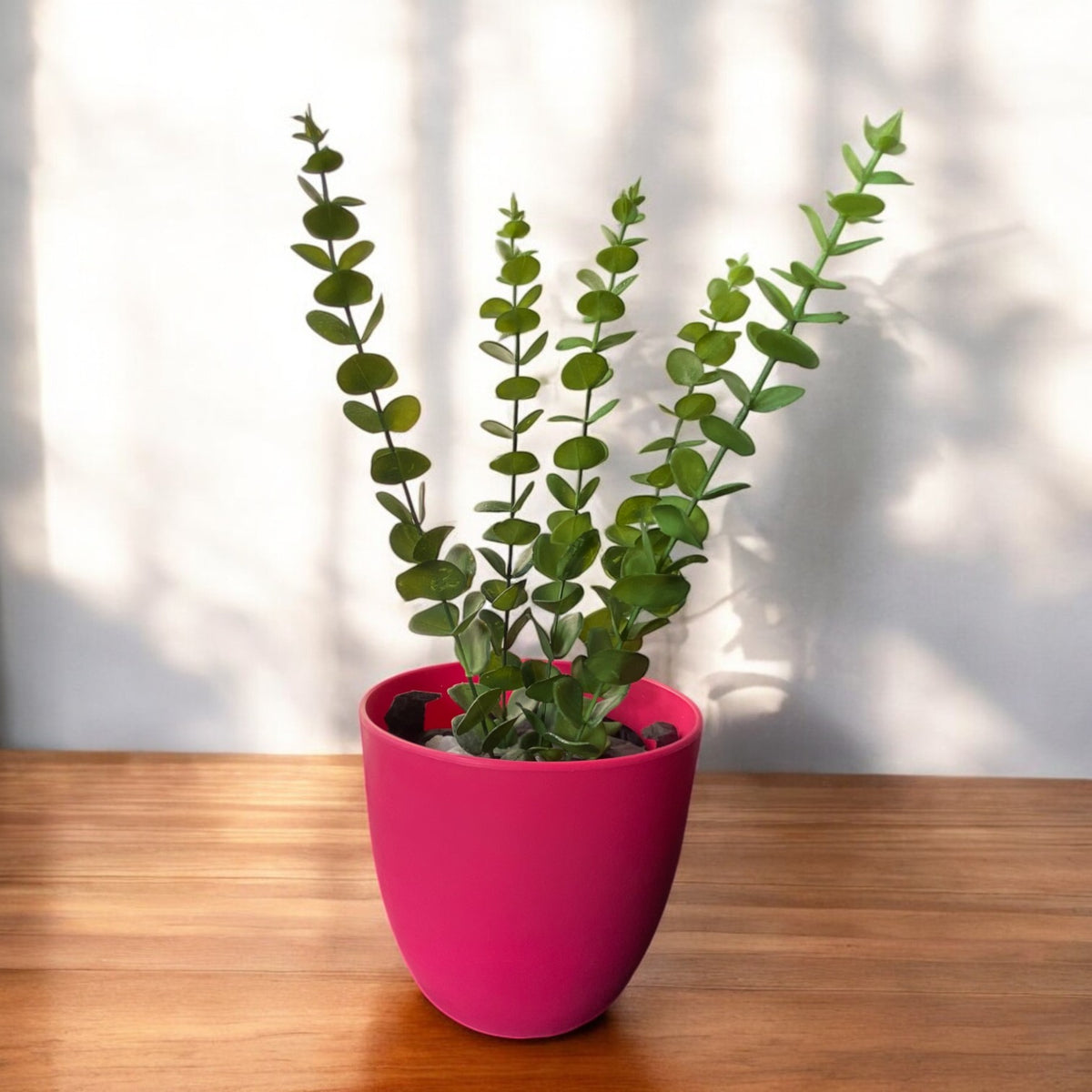 Artificial ZZ Plant in Elegant Pink Plastic Pot by Pots O Crops